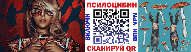 darknet формула даркнет сайт Альметьевск Галлюциногенные грибы ЛСД
